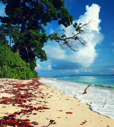 Havelock